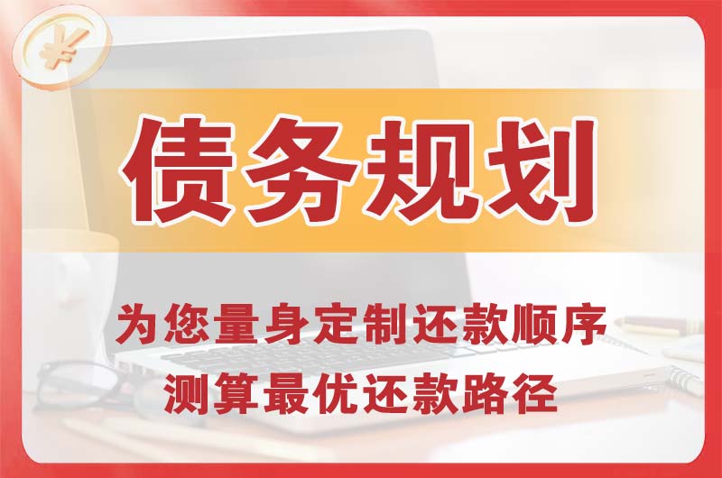 安国债务规划